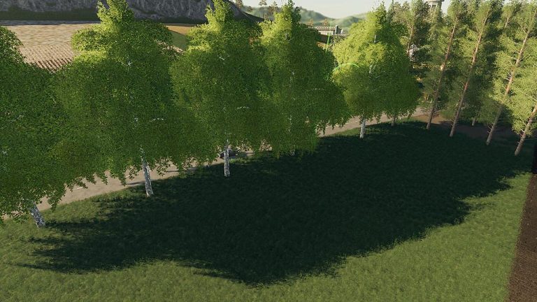 Arbres Placables V10 Fs19 Fs22 Mod F19 Mod 3826