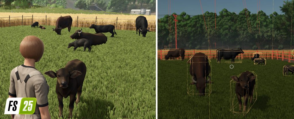 Farming Simulator 25 : bétail au pâturage et buffles d'eau 