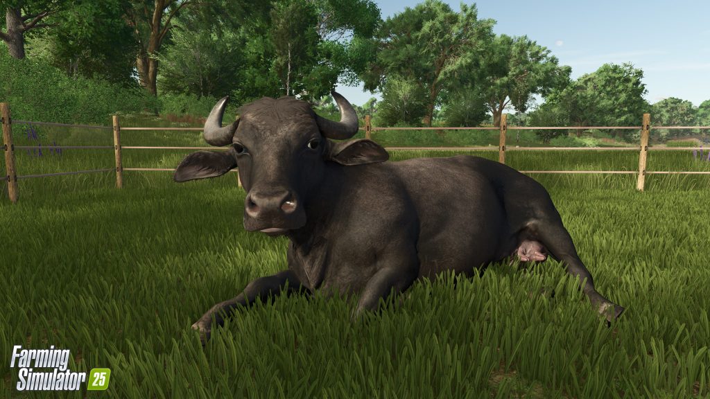 Farming Simulator 25 : bétail au pâturage et buffles d'eau 