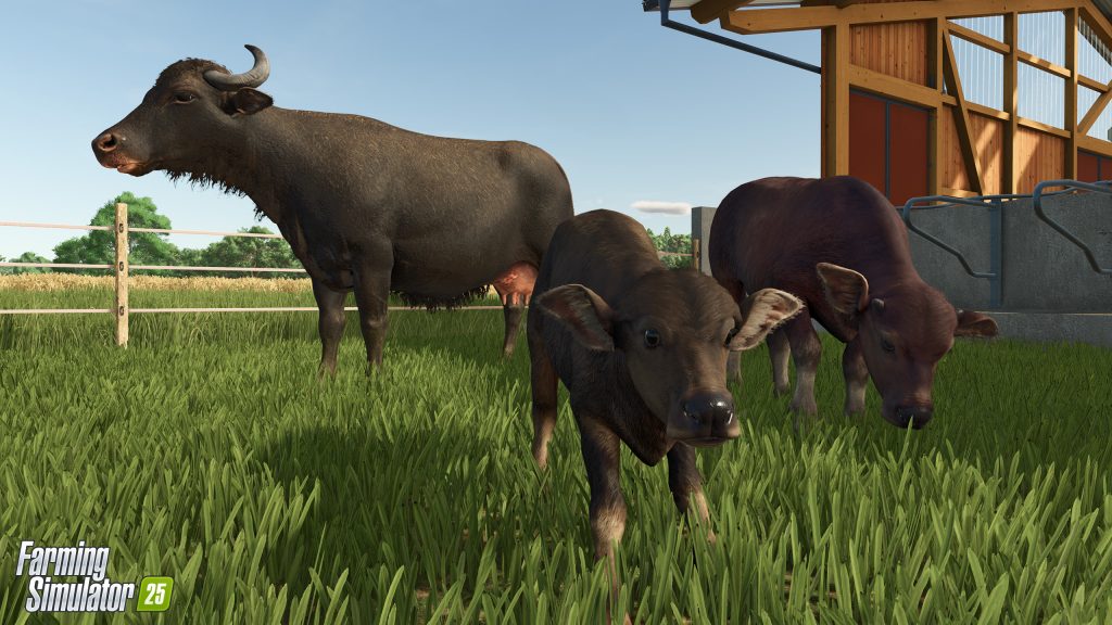 Farming Simulator 25 : bétail au pâturage et buffles d'eau 