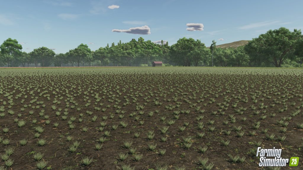 Farming Simulator 25 : Récolteuse de pois 